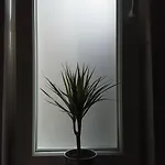 Baltic Ubytování v soukromí Sopoty
