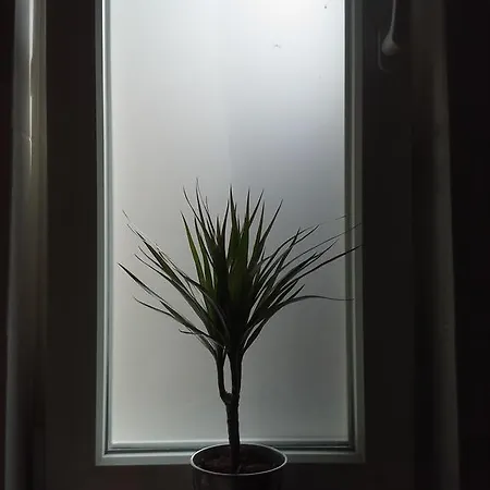 Baltic ホームステイ ソポト