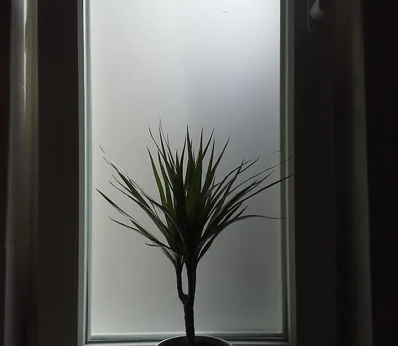 Baltic Homestay Sopot